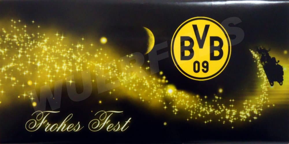 Hamed BVB09
