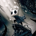 تصویر Hollow Knight