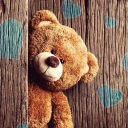 تصویر teddy bear