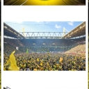 تصویر bvb fan ‌