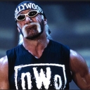 تصویر HOLLYWOOD HOGAN