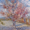 تصویر احسان :