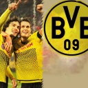 تصویر BVB 15