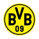 تصویر BVB Vahid