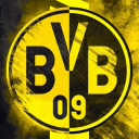 تصویر BVB 09