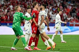 مجادله میتروویچ و اندرسون در بازی دانمارک و صربستان