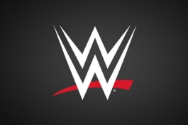 لوگوی کمپانی کشتی کج WWE  