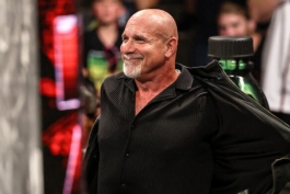 بیل گلدبرگ، ستاره کشتی کج و WWE