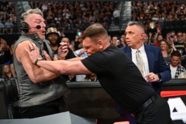 ستاره کشتی کج و گزارشگر WWE