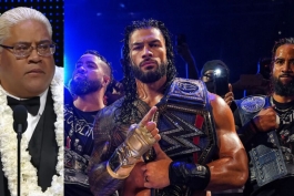 ستارگان کشتی کج و WWE