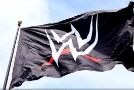 WWE، بزرگترین کمپانی کشتی کج در جهان است
