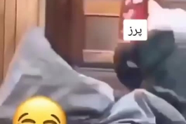 پرز و تیم های انگلیسی😂