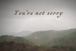 Lyric Video آهنگ You're Not Sorry از Taylor Swift