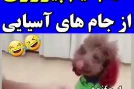 لوکاکو نیوز تقدیم میکند ✊✊✊✊ : سهم توفان صرخ عاصیا ( زارت 🤣🤣✊✊ ) از جام های عاصیایی 😆😆✊✊ من  بفهمم اولین بار کی بود که به پیروزی لقب توفان صرخ عاصیا رو داد از وسط دو شقش میکنم😆😆✊✊ تیمی که 60 ساله در به در یه افتخار بین المللی😆😆😆