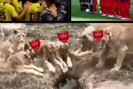 سم ترین دوبله که دیدم فقط سپاهانی نبینه🤣🤣🤣🤣🤣🤣🤣🤣🤣🤣🤣🤣🤣👌👌👌👌👌👌