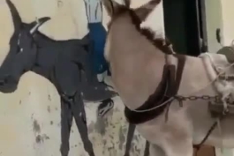 عاشق شدن در فضای مجازی اینه 😂😂😂