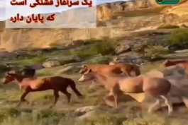 جان من سخت نگیر...