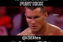 Randy orton :punt kick