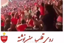 پرسپولیس سرور عشقه ❤