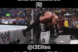 Brock lesnar:f5