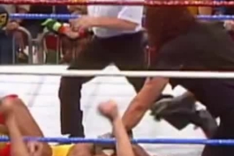 پین هالک هوگان و اولین قهرمانی WWF آندرتیکر 