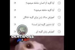 یکی این گربه رو نجات بده 🤣🤣