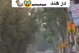 خیابان هرجور راحتی در هند .... 😯