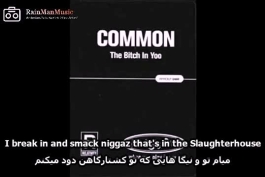 ترجمه دیس ترک Common — The Bitch In Yoo