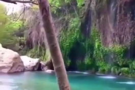 طبیعت (درختان و سنگ ها و رودخانه)🌳🌊