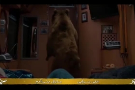 سکانس خرس در کمپر و اتوبوس سریال پایتخت هفت ۷