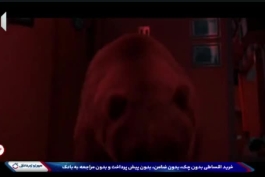 سکانس درگیری بهتاش و خرس و زخمی شدن بهتاش در سریال پایتخت هفت ۷