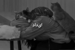 دانلود ریمیکس ترند " دل شب یادت کرده به دلم ای داد به سرم ماندت صدای تو "