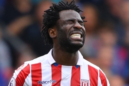 استوک سیتی- لیگ برتر انگلیس- Wilfried Bony- Stoke City