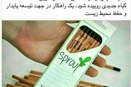 مداد همراه با بذر ... جالبه !