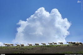 طبیعت خیره کننده سوباتان 