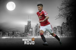 والپیپر:Marcos Rojo