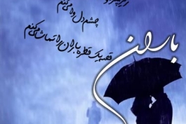 مرتضی پاشاهی