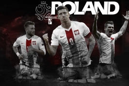 یورو 2016؛ لهستان، پرواز توپخانه عقاب های سفید بر فراز اروپا