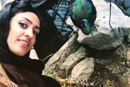 سپیده توکلی: من و طاووس،يهويى!
