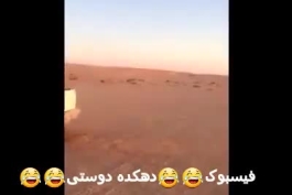 بدون شرح