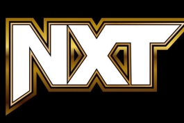 NXT مرکز پرورش استعداد WWE و سومین شو هفتگی این کمپانی است