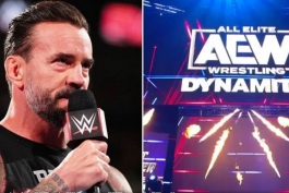 سی ام پانک، ستاره کشتی کج و کمپانی WWE با سابقه حضور در AEW و UFC