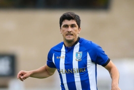 شفیلد ونزدی-چمپیونشیپ-ایتالیا-Championship-Italy-Fernando Forestieri