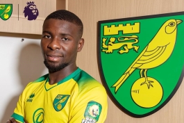 Norwich City-Premier League-England-France-فرانسه-لیگ برتر-نوریچ سیتی-قناری‌ها