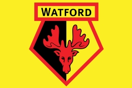 Watford-واتفورد-لیگ برتر-انگلیس-گوزن‌ها-Hornets-Premier League-England