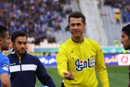 لیگ برتر فوتبال-داور-persian gulf league-refree