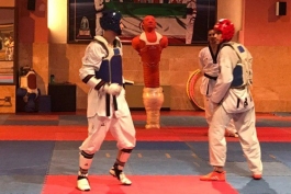 تکواندو ایران-Taekwondo iran