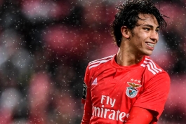 ژائو فلیکس-João Félix