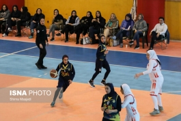لیگ برتر-فدراسیون بسکتبال-بسکتبال بانوان