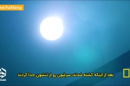 نظر مورگان فريمن درباره امام حسين